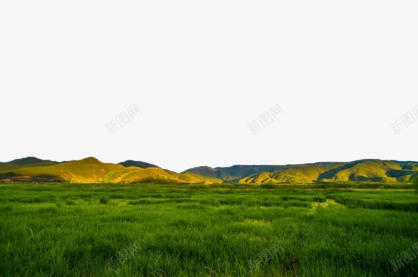 泸沽湖草海风景六png免抠素材_新图网 https://ixintu.com 四川 景点 泸沽湖 自然 风景