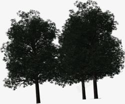 创意环境渲染效果树木素材