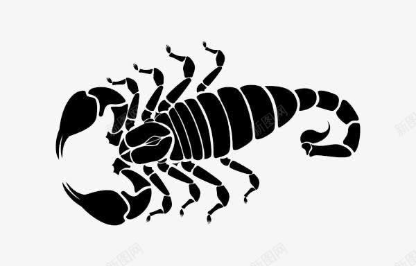 黑色蝎子图标png_新图网 https://ixintu.com 恶毒 纹身 蝎子 黑色