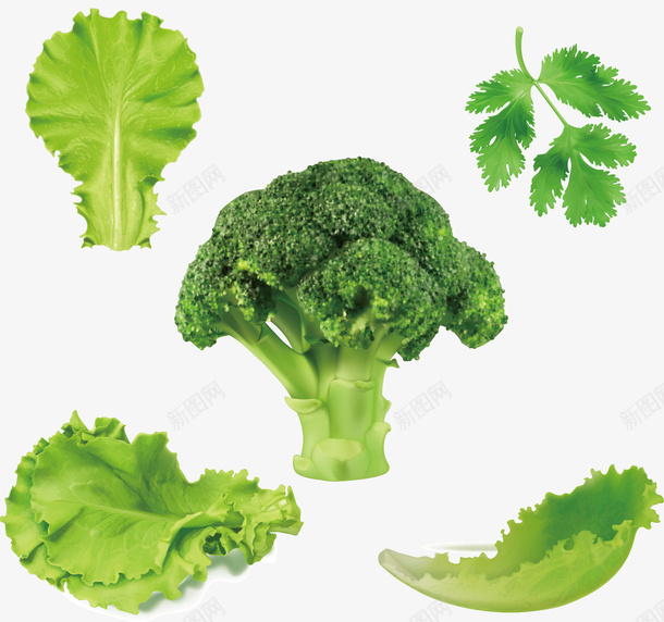 健康绿色蔬菜大全矢量图ai免抠素材_新图网 https://ixintu.com 健康 健康绿色 大全 绿色 绿色健康 绿色蔬菜 蔬菜 蔬菜健康 矢量图