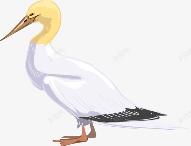 白色小鸭png免抠素材_新图网 https://ixintu.com 动物 手绘 长长的嘴掌 鸭子 黄色