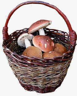 编织蘑菇编织篮里的蘑菇高清图片