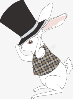 戴着礼貌的兔子戴着帽子的兔子高清图片