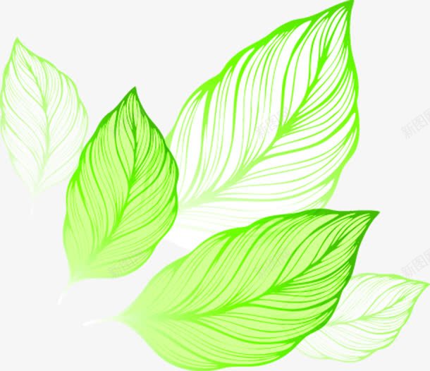 绿色清新创意树叶装饰png免抠素材_新图网 https://ixintu.com 创意 树叶 清新 绿色 装饰