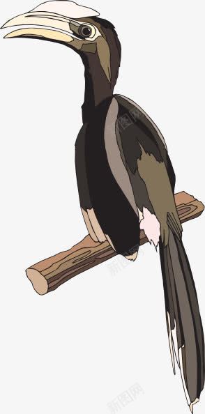 一只乌鸦png免抠素材_新图网 https://ixintu.com 乌鸦 动物 图案设计 黑乌鸦