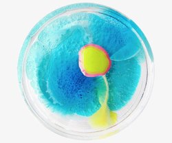 蓝色培养皿创意盘子的的视觉艺术高清图片