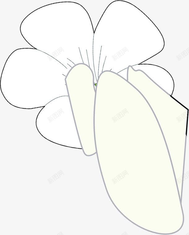 黑色线条花朵植物png免抠素材_新图网 https://ixintu.com 植物 线条 花朵 黑色