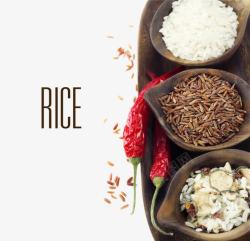 米饭等食物素材
