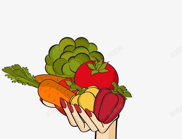 蔬菜瓜果png免抠素材_新图网 https://ixintu.com 做饭 女性 手绘 装饰