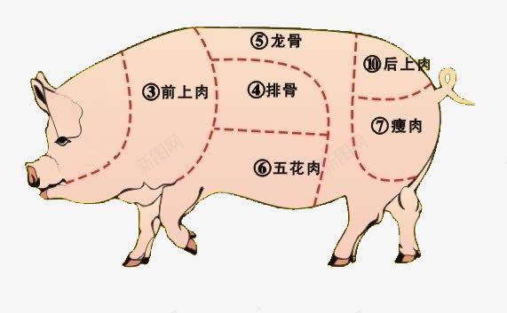 卡通猪png免抠素材_新图网 https://ixintu.com 猪肉 猪肉区分 粉色
