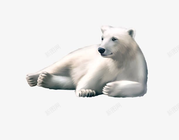 慵懒的北极熊png免抠素材_新图网 https://ixintu.com 动物 北极熊 卡通 慵懒 白色