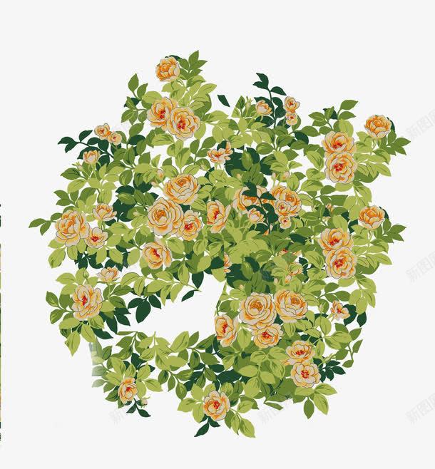 手绘野花装饰png免抠素材_新图网 https://ixintu.com 卡通花卉 手绘 手绘花卉 手绘花朵