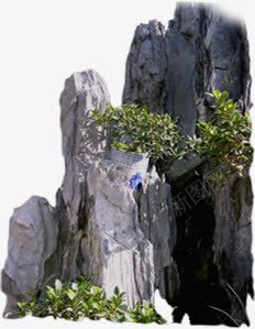 摄影有植物的假山png免抠素材_新图网 https://ixintu.com 假山 摄影 植物