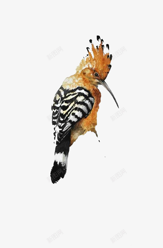 手绘动物鸟png免抠素材_新图网 https://ixintu.com 动物 图案 手绘 鸟