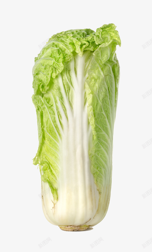 一棵白菜png免抠素材_新图网 https://ixintu.com 一棵白菜 卷心菜 实物 生食 白菜 绿色 蔬菜 香菇青菜
