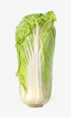 一棵青菜一棵白菜高清图片