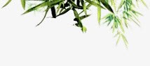 绿色树枝树叶长条形叶子png免抠素材_新图网 https://ixintu.com 叶子 条形 树叶 树枝 绿色