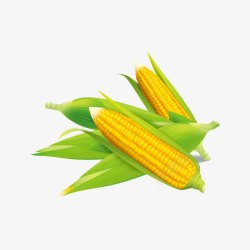 玉米图案素材