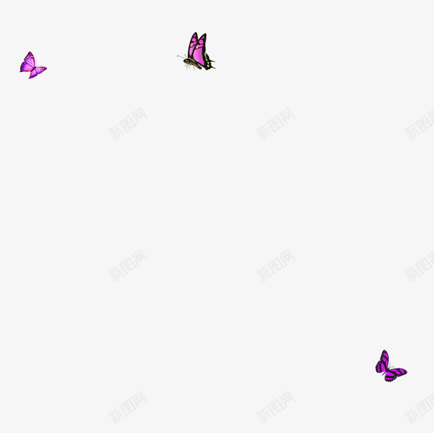 漂浮的紫色蝴蝶psd免抠素材_新图网 https://ixintu.com 春天 紫色 蝴蝶 飞舞