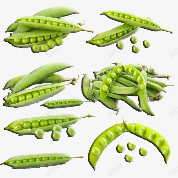 绿色豌豆角png免抠素材_新图网 https://ixintu.com 植物 豆子 豌豆 食物