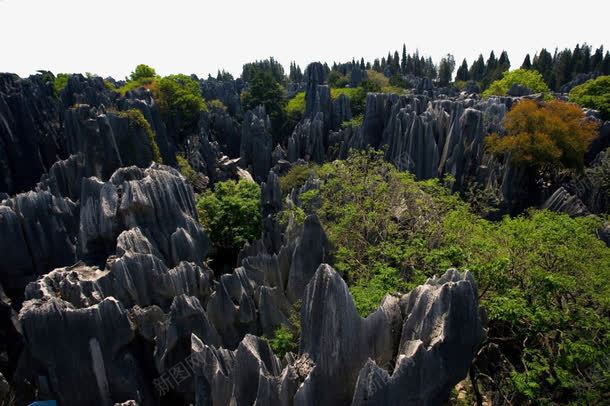 美丽云南风景png免抠素材_新图网 https://ixintu.com 云南 旅游 石林 风景