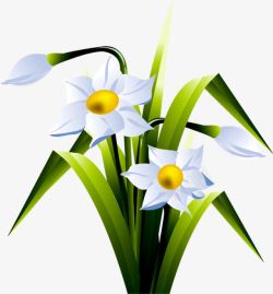 白色花朵精美植物素材