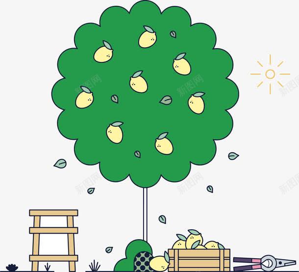 树木png免抠素材_新图网 https://ixintu.com 免费矢量下载 插画 果实 果树 树木