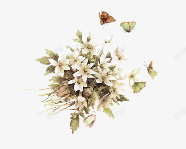 白色花卉png免抠素材_新图网 https://ixintu.com 一束花 白色 白色花卉 花卉 花朵 蝴蝶 鲜花