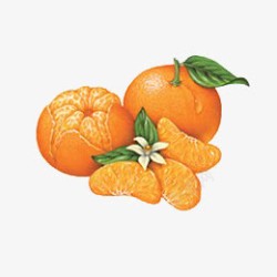 卡通剥开的橘子装饰素材