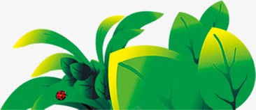 七星瓢虫和绿色植物png免抠素材_新图网 https://ixintu.com 七星 瓢虫 绿色植物