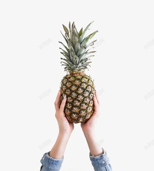 双手托起的菠萝png免抠素材_新图网 https://ixintu.com 双手 水果 菠萝 食物 黄色