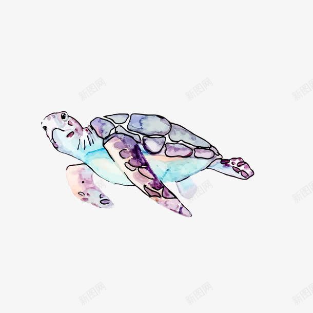 手绘的海龟png免抠素材_新图网 https://ixintu.com 乌龟 动物 手绘海龟 水彩海龟 海产品 海龟