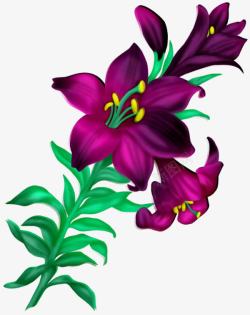 卡通紫色花朵牵牛花素材