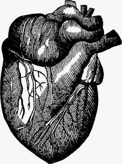 黑色线条手绘心脏素材