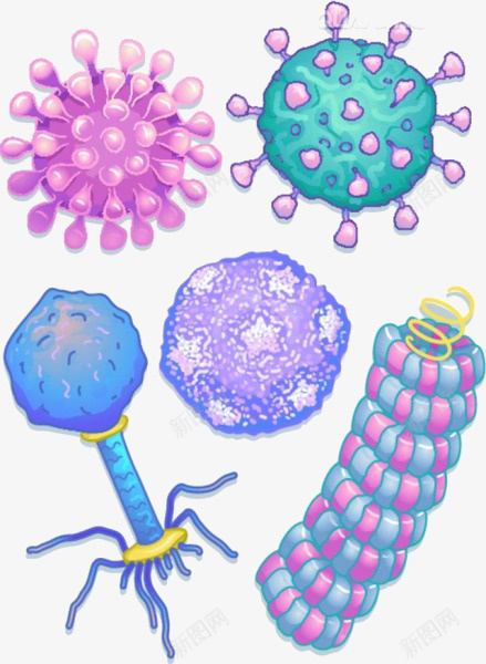 卡通水生物png免抠素材_新图网 https://ixintu.com 免扣水生物 卡通 彩色 水生物素材