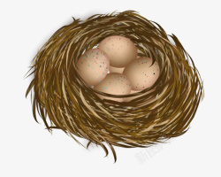 鸟巢里的蛋素材