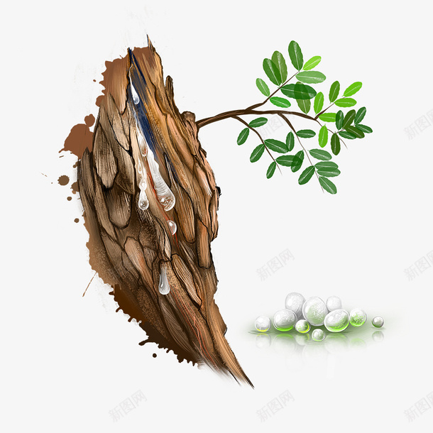 干枯的树干png免抠素材_新图网 https://ixintu.com PNG图形 PNG装饰 卡通 树干 绿叶 装饰