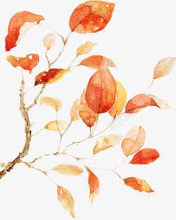 秋日意境手绘花朵素材