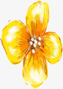 艳色黄花艺术展板png免抠素材_新图网 https://ixintu.com 展板 艺术 黄花
