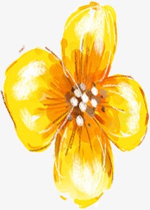 艳色黄花艺术展板素材