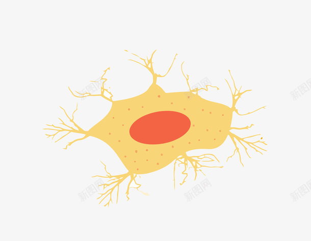神经细胞png免抠素材_新图网 https://ixintu.com 干细胞 神经细胞 细胞 细胞学 黄色