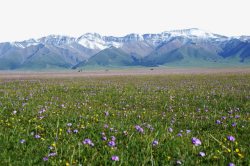 唯美风景新疆赛里木湖素材