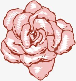 浪漫粉色玫瑰花素材