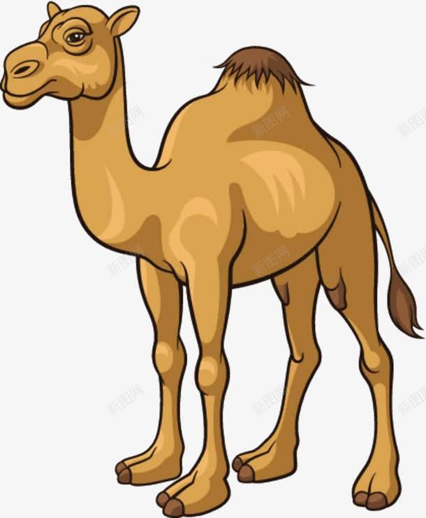 卡通骆驼png免抠素材_新图网 https://ixintu.com 免抠骆驼 卡通 骆驼素材 黄色