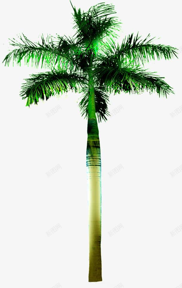 摄影创意合成绿色的棕榈树png免抠素材_新图网 https://ixintu.com 创意 合成 摄影 棕榈树 绿色
