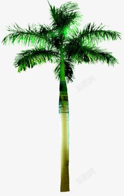 摄影创意合成绿色的棕榈树素材
