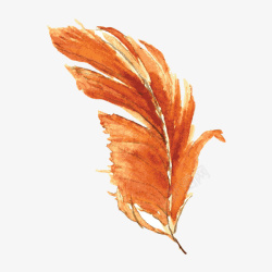 橙色手绘羽毛素材