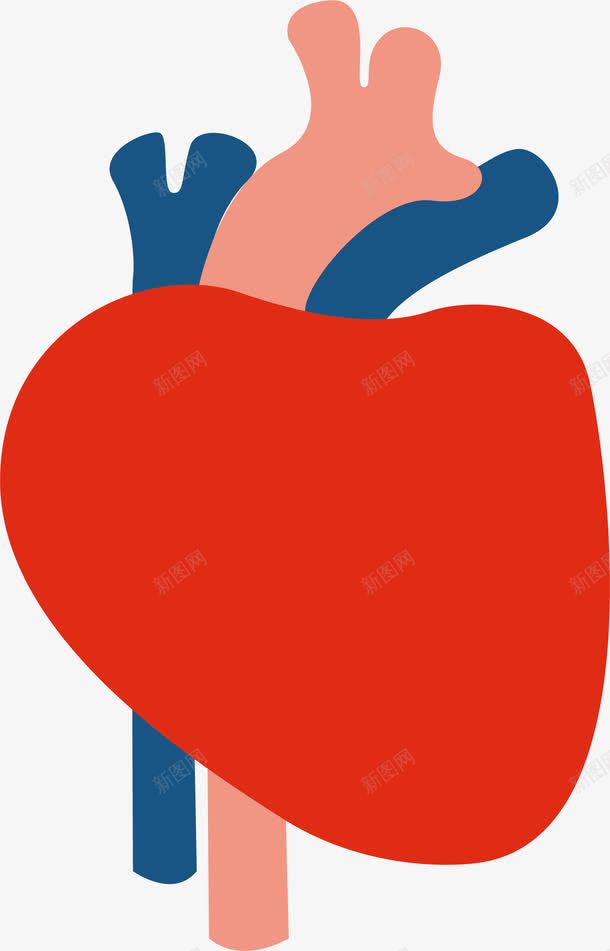 卡通心脏png免抠素材_新图网 https://ixintu.com 人体器官 医疗健康 医疗内脏 医疗卡通 医疗器械 医疗科技 医疗科研 卡通心脏