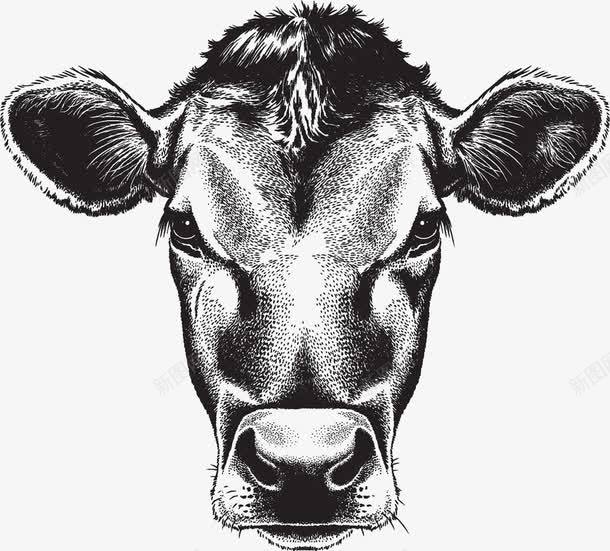 手绘牛头png免抠素材_新图网 https://ixintu.com 动物 手绘 牛 牛头 牛头像 黑白牛头 黑色