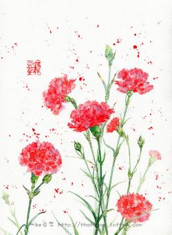 红色手绘田园花朵植物素材